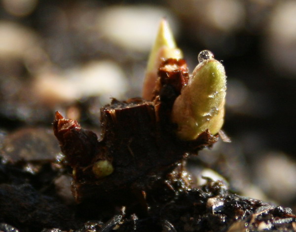 ��������ѿ 05.jpg