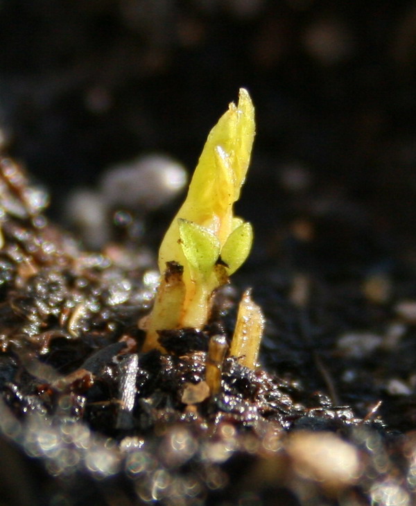 ��������ѿ 02.jpg