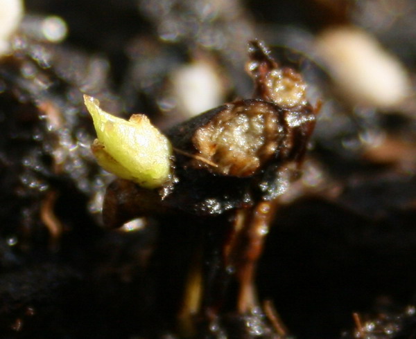 ��������ѿ 04.jpg