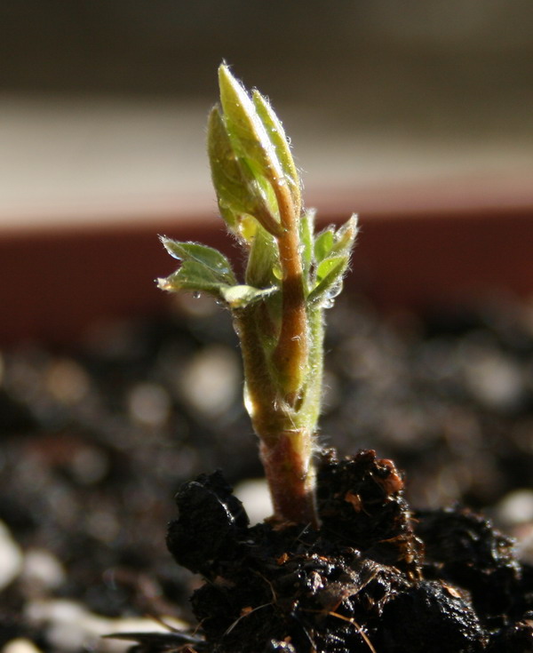 ��������ѿ 07.jpg