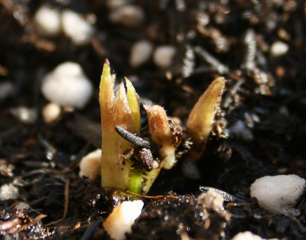 ��������ѿ 03.jpg