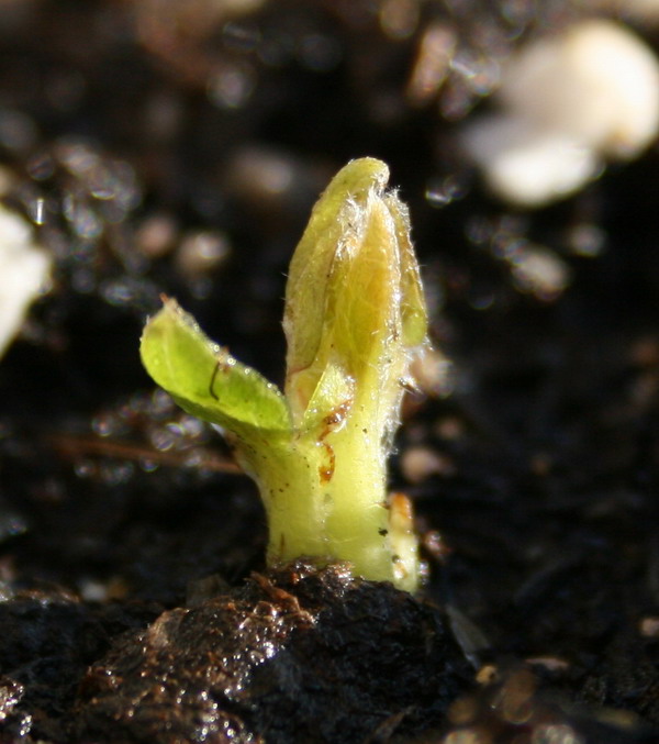 ��������ѿ 01.jpg