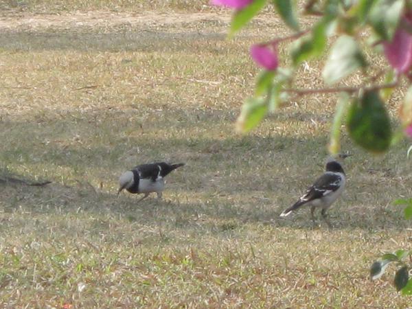 IMG_0728.JPG
