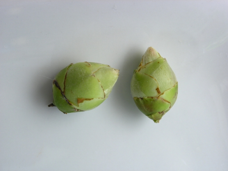 ���Ứ�� ��1��.JPG