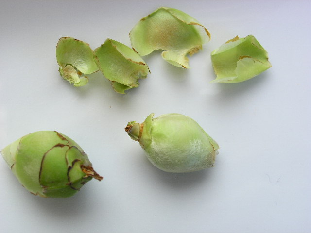 ���Ứ�� ��1�� (1).JPG