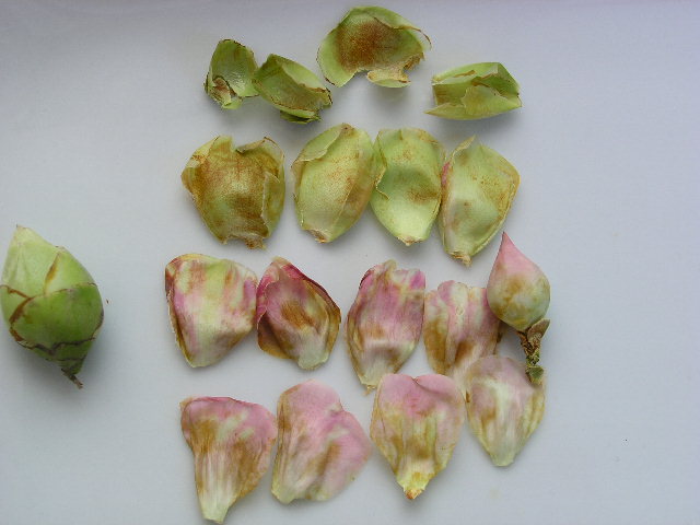 ���Ứ�� ��1�� (4).JPG