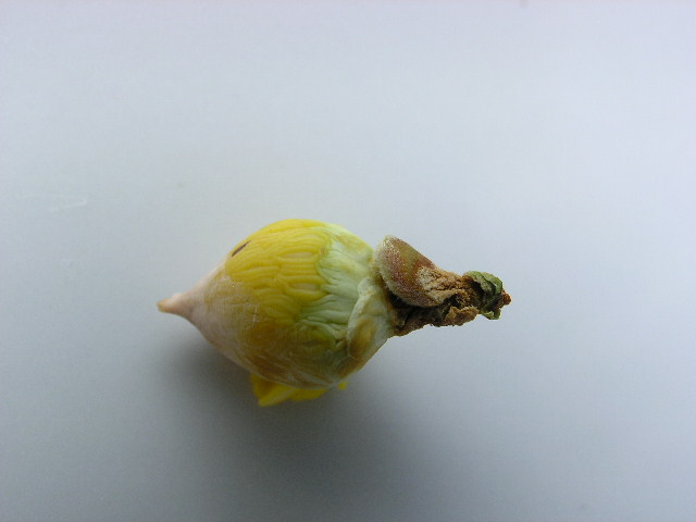 ���Ứ�� ��1�� (7).JPG