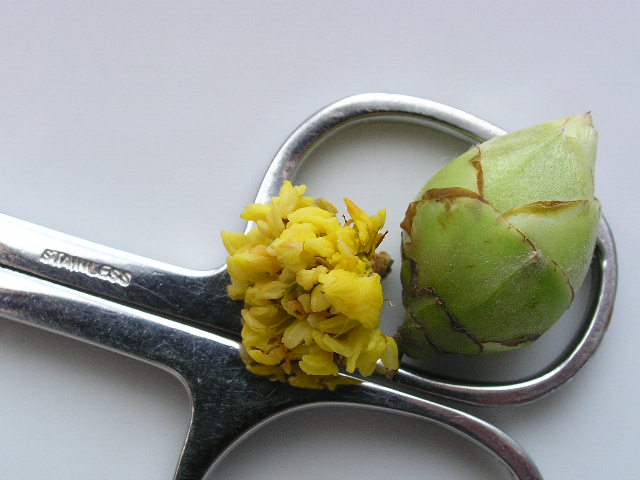 ���Ứ�� ��1�� (8).JPG