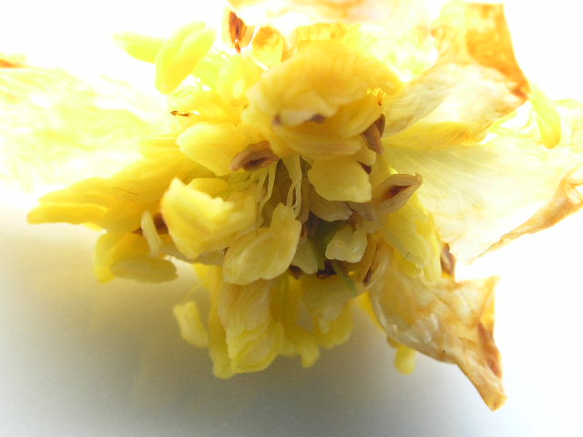 ���Ứ�� ��1�� (9).JPG