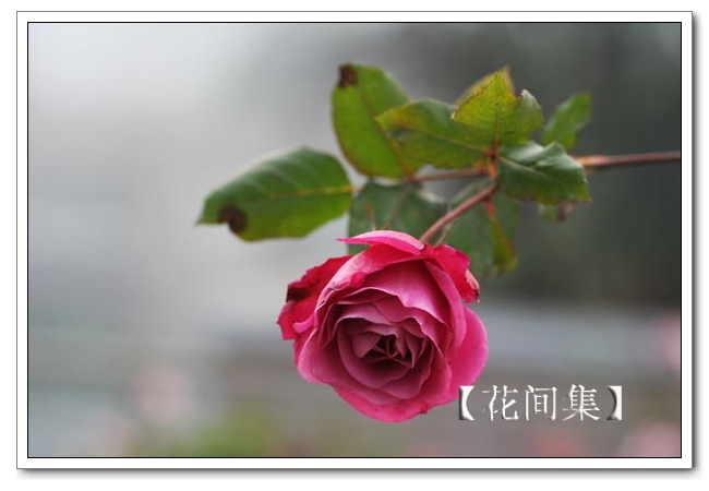 IMG_0999 ����.jpg