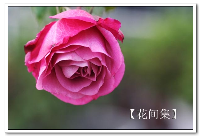 IMG_1010 ����.jpg