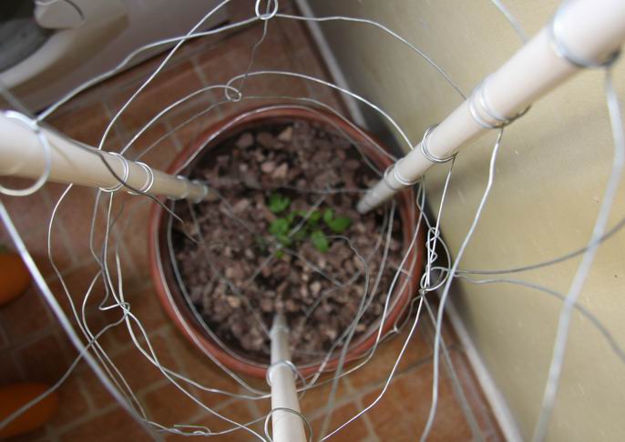 ���еĹ���