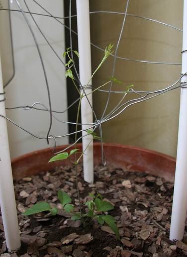 ������С 0110-1.jpg