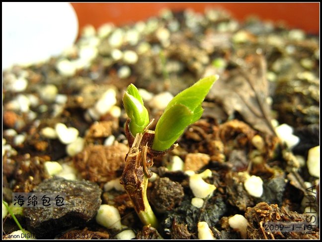 �ܿˣ��ֱ���Щ