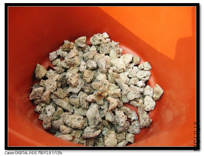 ����������ܶ��