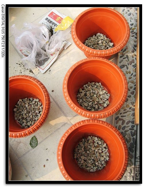 �ײ��õ���ʯ��ף������˵���Ƥ