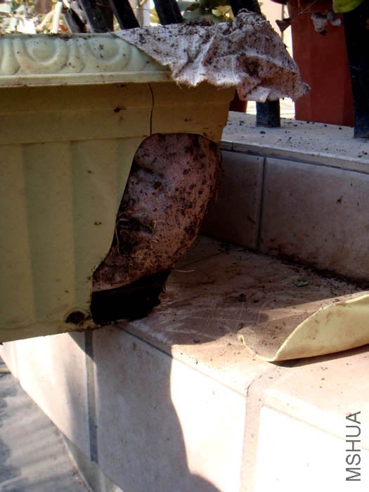 ���Ʋ���ʱ��ס���ƶ�