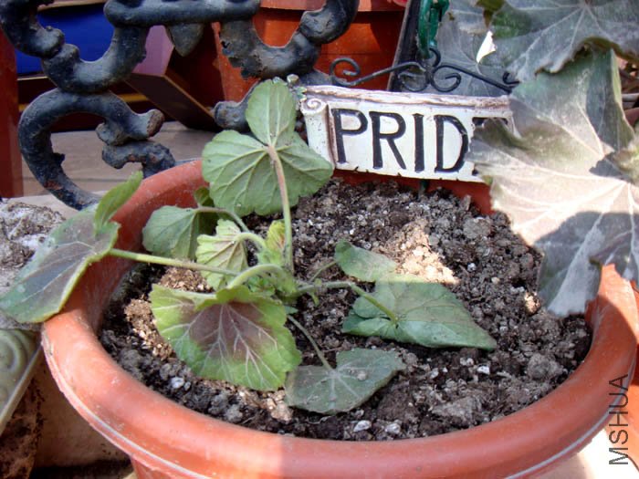 ��һ���������˵�С��