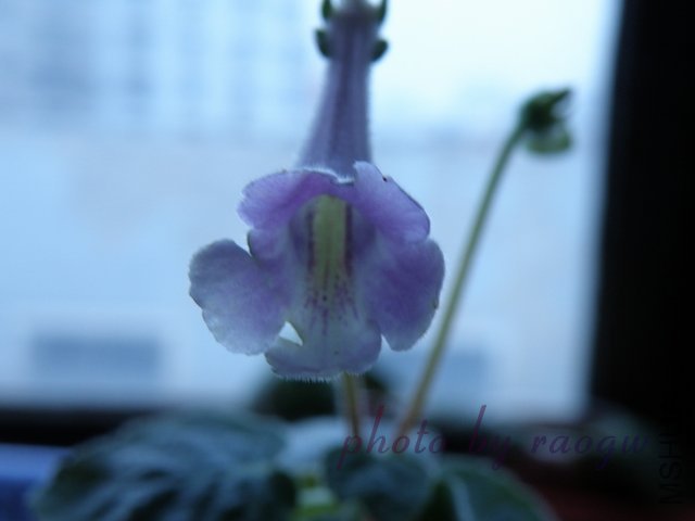 003.JPG