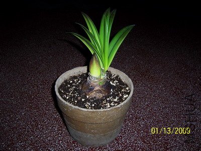 ��Ƭ 2423(400).jpg