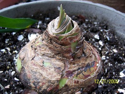 ��Ƭ 1909(400).jpg