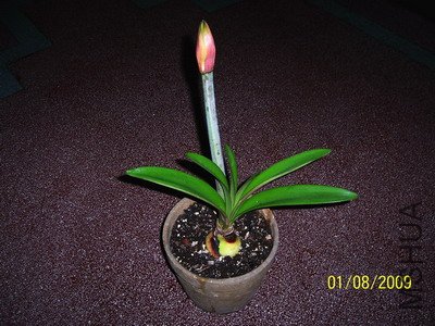 ��������Ѿ�����