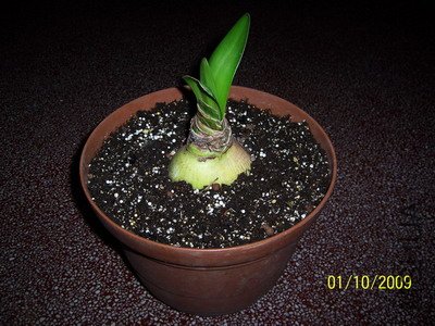 ��Ƭ 2377(400).jpg