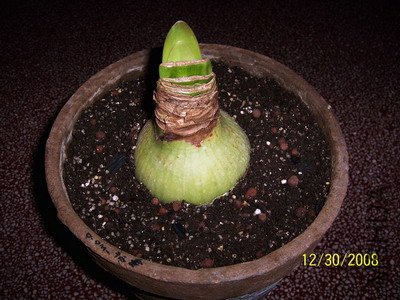 ��Ƭ 2096(400).jpg