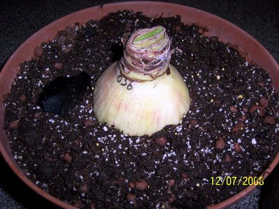 ��Ƭ 1771(400).jpg