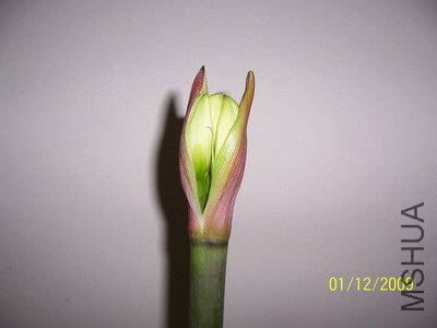 ��Ƭ 2383(400).jpg