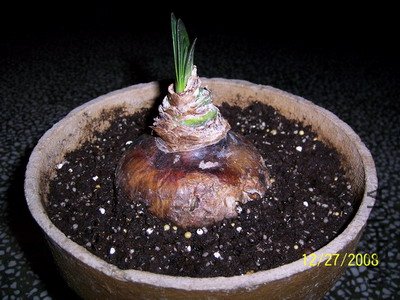 ��Ƭ 1956(400).jpg