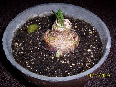 ��Ƭ 2418(400).jpg