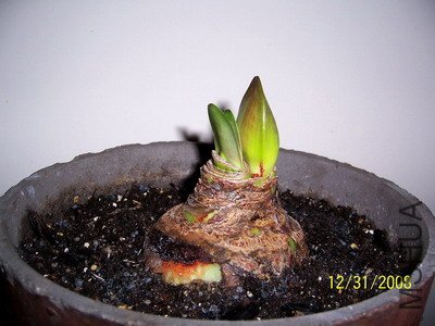 ���������С�ĸ����.....���û���һ֧����...