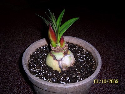 ��Ƭ 2354(400).jpg