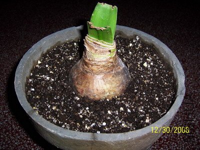 ��Ƭ 2099(400).jpg