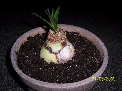 ��Ƭ 2231(400).jpg