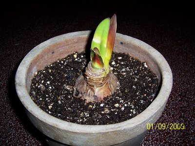 ��Ƭ 2325(400).jpg