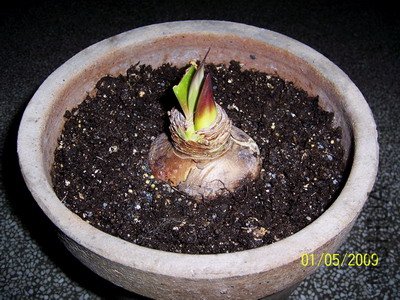 ��Ƭ 2225(400).jpg