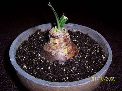 ��Ƭ 2360(400).jpg