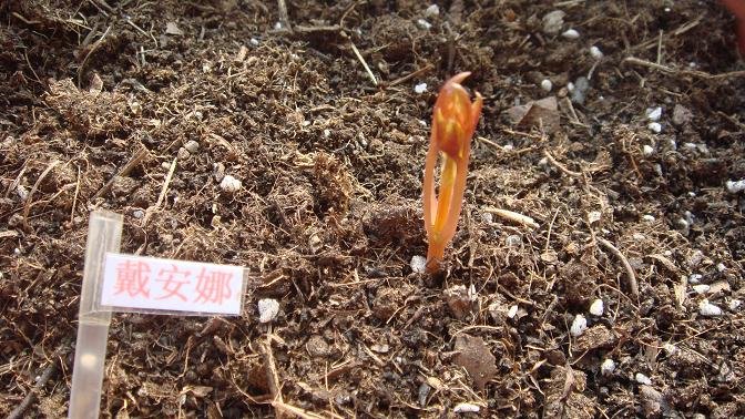 һ��11 �մ�����.JPG