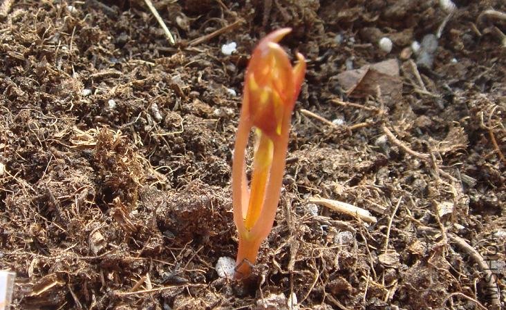 һ��11 �մ�����2.JPG