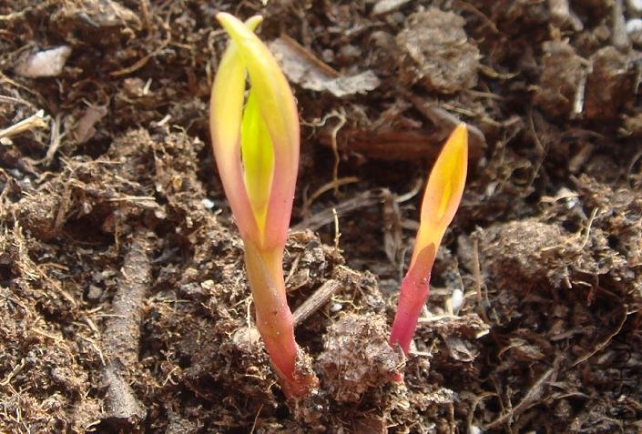 һ��11 ��ǳ������2.JPG