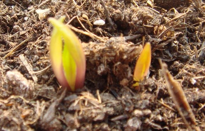 һ��11 ��ǳ������3.JPG