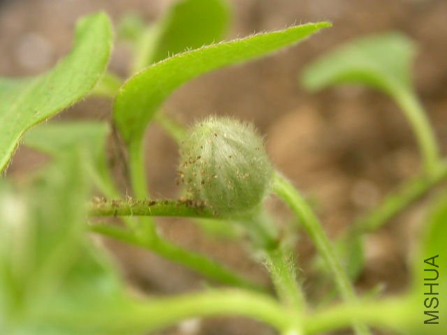 ������������