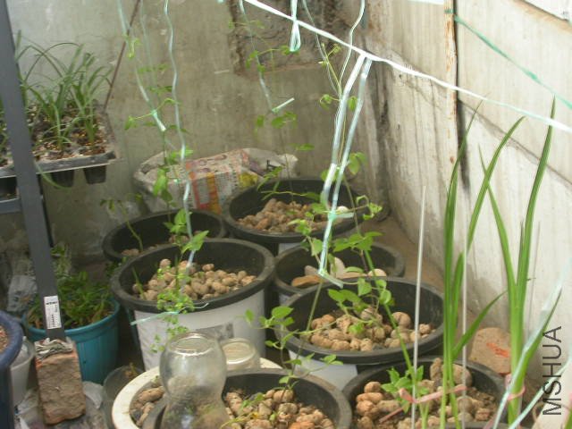 ��ʱ�ļ���