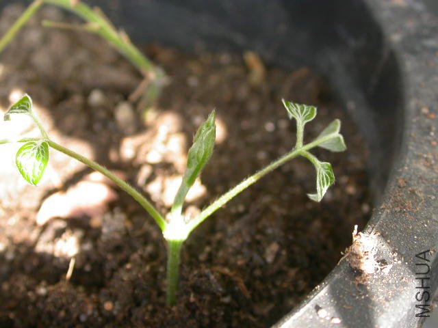 �����µ�ͷ