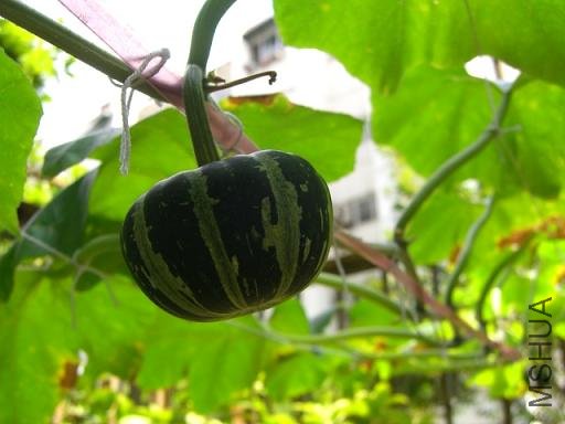 ��������ġ�