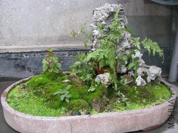 ��Ȼ�컯�����ŵļ�ɽ