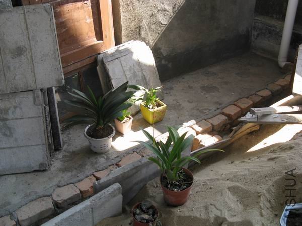 �����������