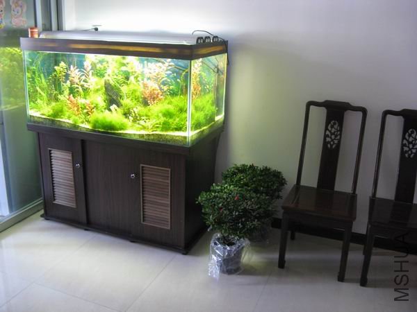 �����û��������ף�ȴ����һ�ݾ�ϲ